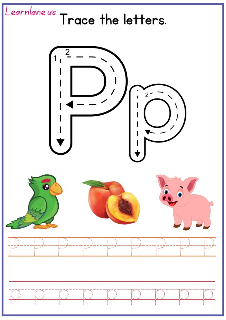 Image showing preschool letter P worksheet  and reading practice for preschool