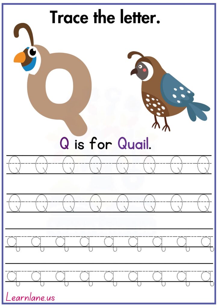 Image showing free printable letter Q worksheets for preschool handwriting skills.
