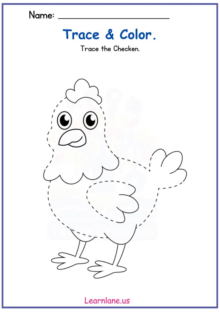 Chicken Tracing Worksheet for Preschool – Early Learning Fun
