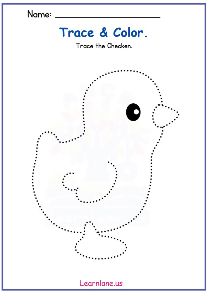 Farm Animal Chicken Tracing Preschool Worksheet