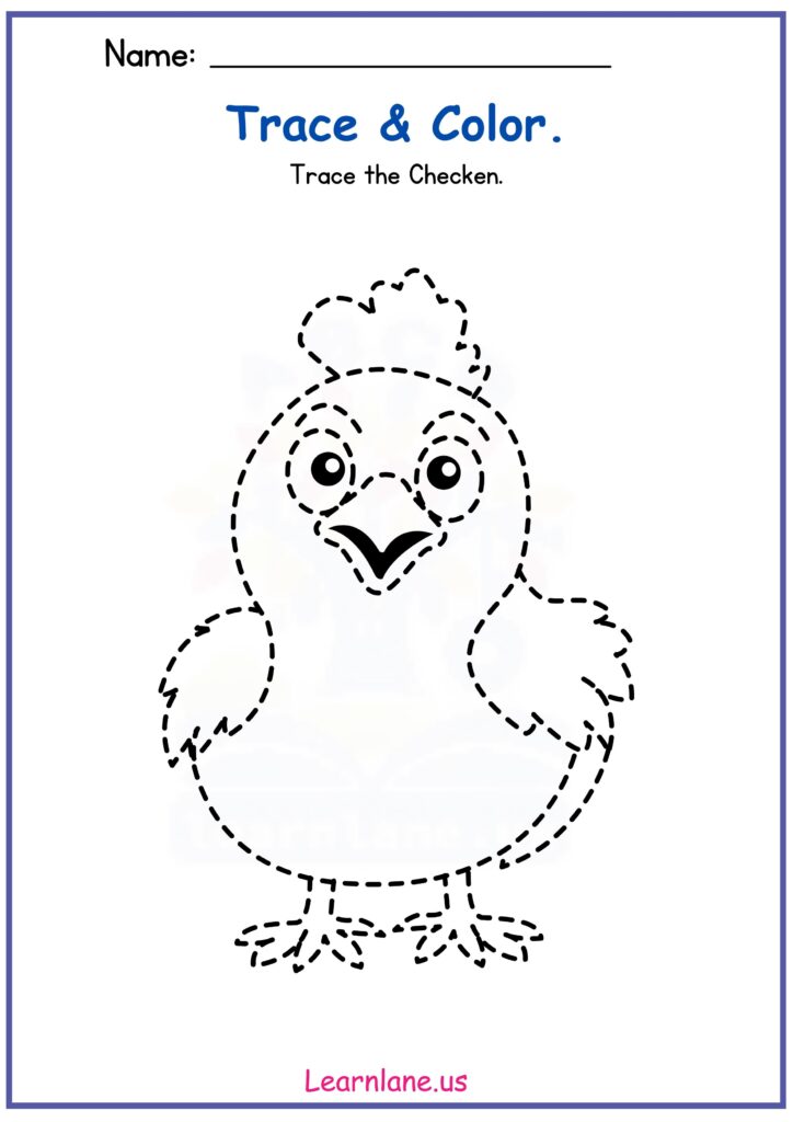 Trace the Chicken Preschool Worksheet – Fine Motor Skills