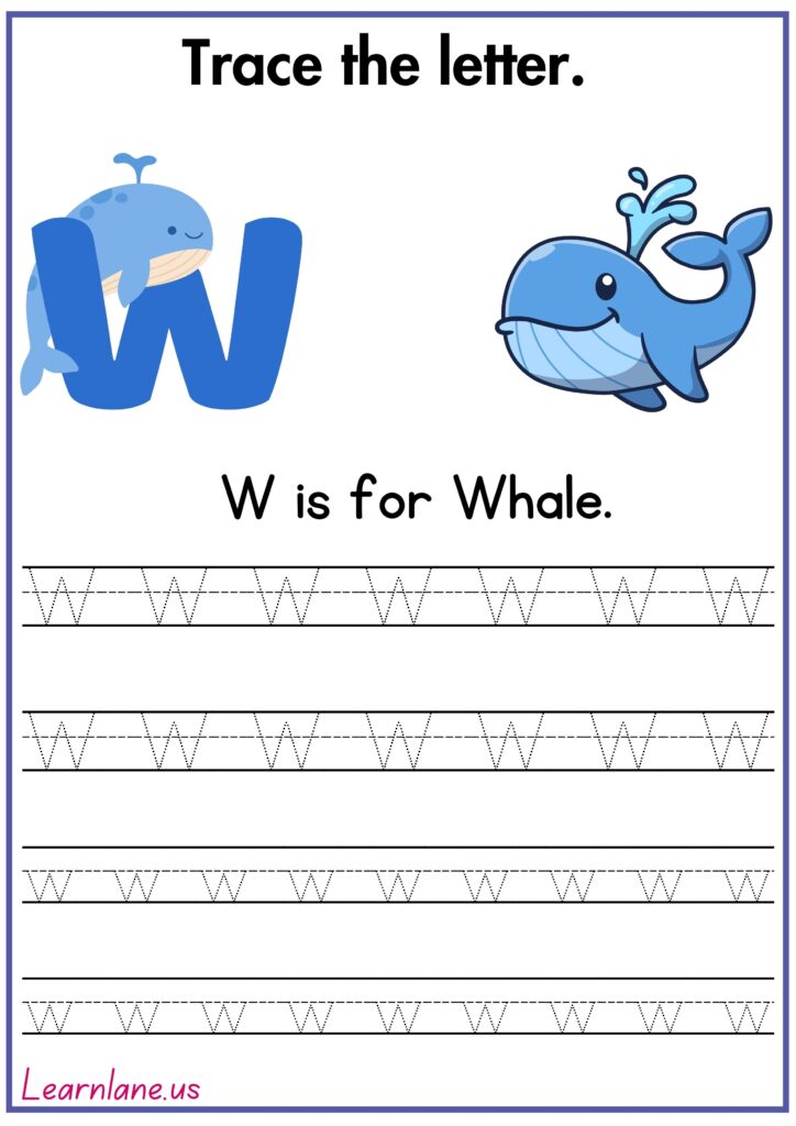 Image showing Trace the letter W and practice writing W worksheet for preschool