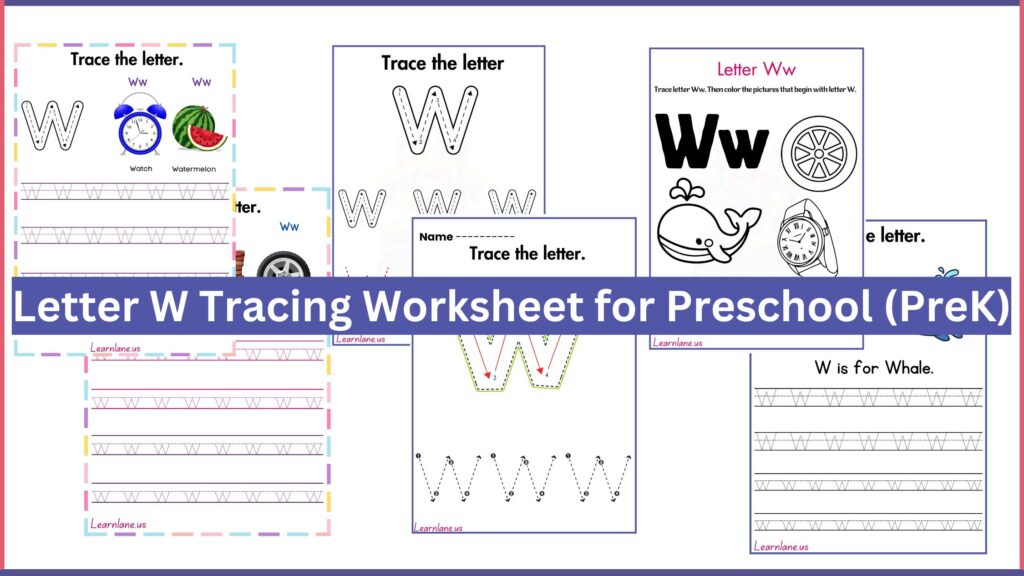 Letter W tracing worksheet for preschool showing uppercase and lowercase W, word examples like watermelon and whale, and writing practice lines