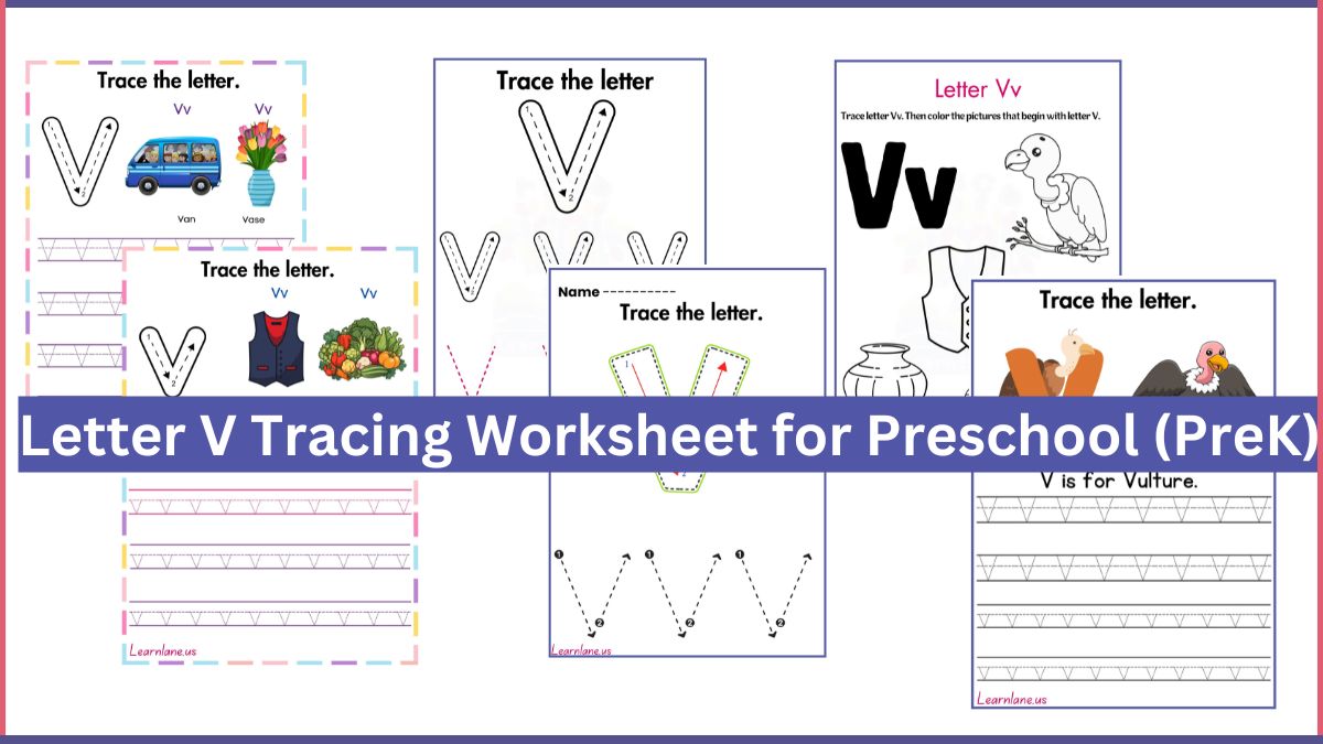 Letter V tracing worksheet for preschool showing uppercase and lowercase Vv with tracing lines and vocabulary words