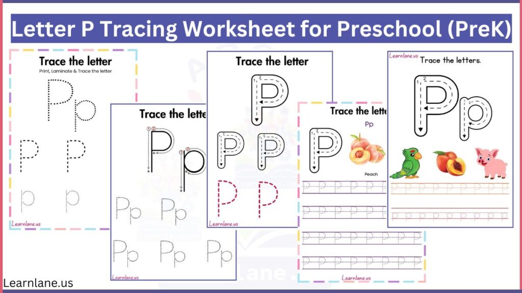 featured image of free printable Letter P Tracing Worksheet for Preschool (PreK)